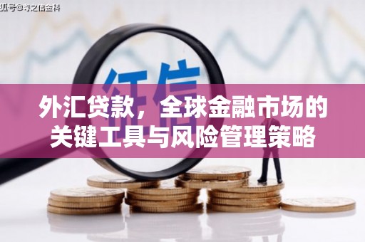 北塘外汇贷款，全球金融市场的关键工具与风险管理策略