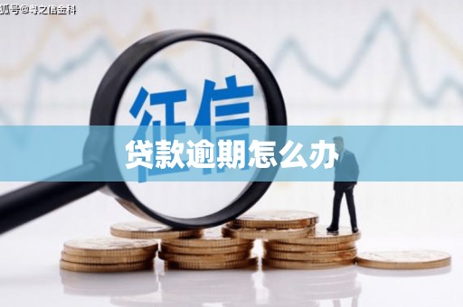 北塘贷款逾期怎么办