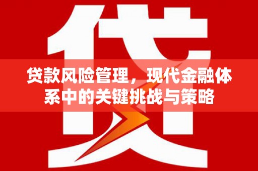 北塘贷款风险管理，现代金融体系中的关键挑战与策略