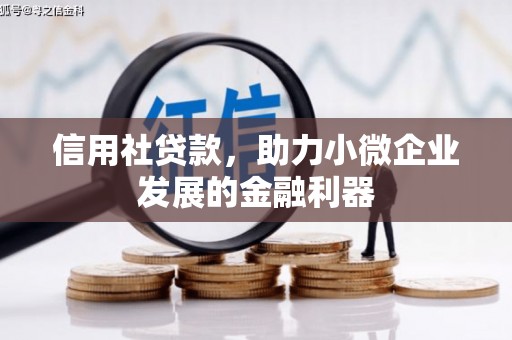 北塘信用社贷款，助力小微企业发展的金融利器