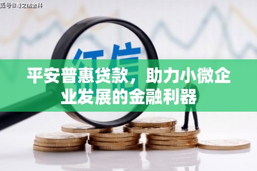 北塘平安普惠贷款，助力小微企业发展的金融利器