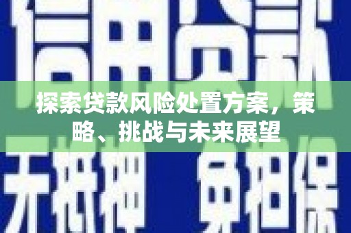 北塘探索贷款风险处置方案，策略、挑战与未来展望
