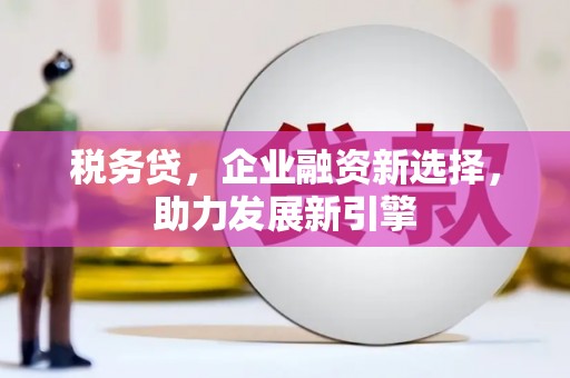 北塘税务贷，企业融资新选择，助力发展新引擎