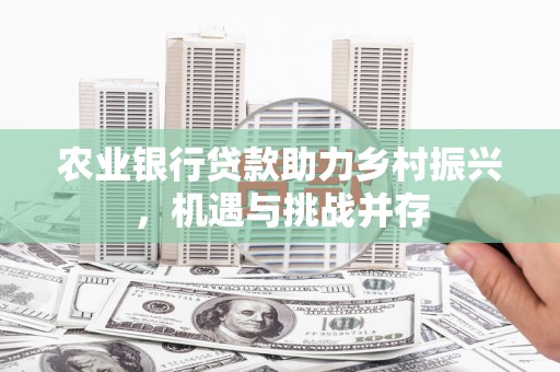 北塘农业银行贷款助力乡村振兴，机遇与挑战并存