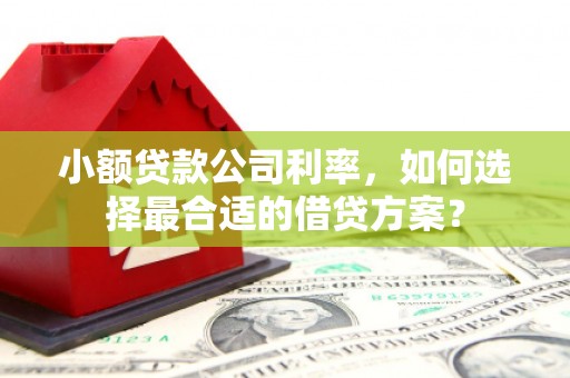 北塘小额贷款公司利率，如何选择最合适的借贷方案？