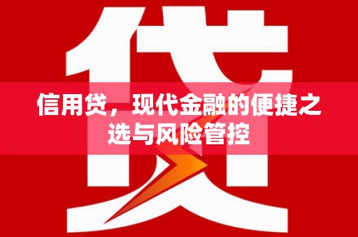 北塘信用贷，现代金融的便捷之选与风险管控