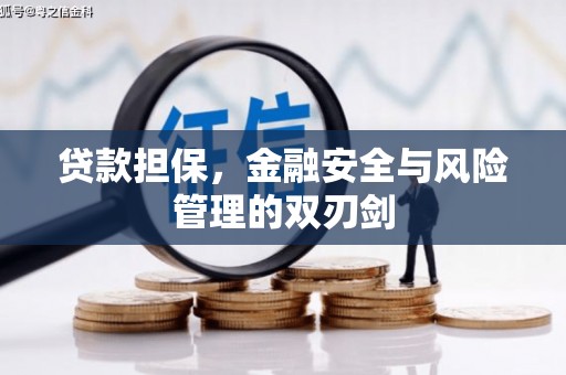北塘贷款担保，金融安全与风险管理的双刃剑