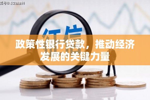 北塘政策性银行贷款，推动经济发展的关键力量