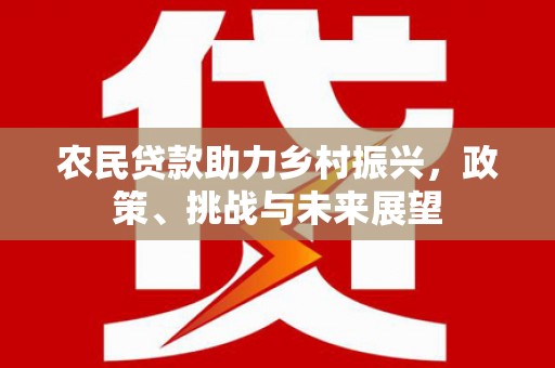 北塘农民贷款助力乡村振兴，政策、挑战与未来展望