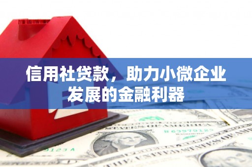 北塘信用社贷款，助力小微企业发展的金融利器