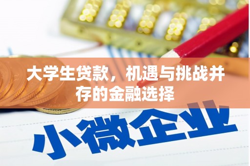 北塘大学生贷款，机遇与挑战并存的金融选择