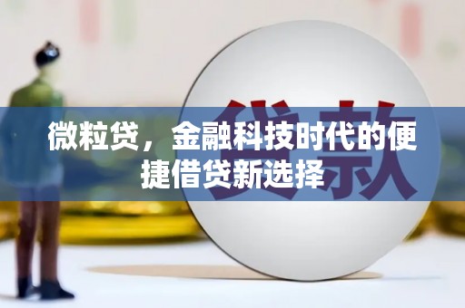 北塘微粒贷，金融科技时代的便捷借贷新选择