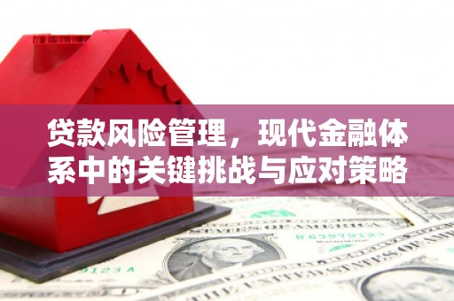 北塘贷款风险管理，现代金融体系中的关键挑战与应对策略