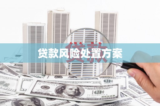 北塘贷款风险处置方案