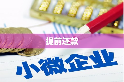 北塘提前还款