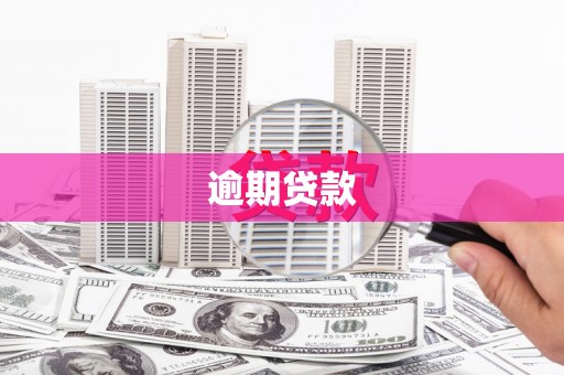 北塘逾期贷款